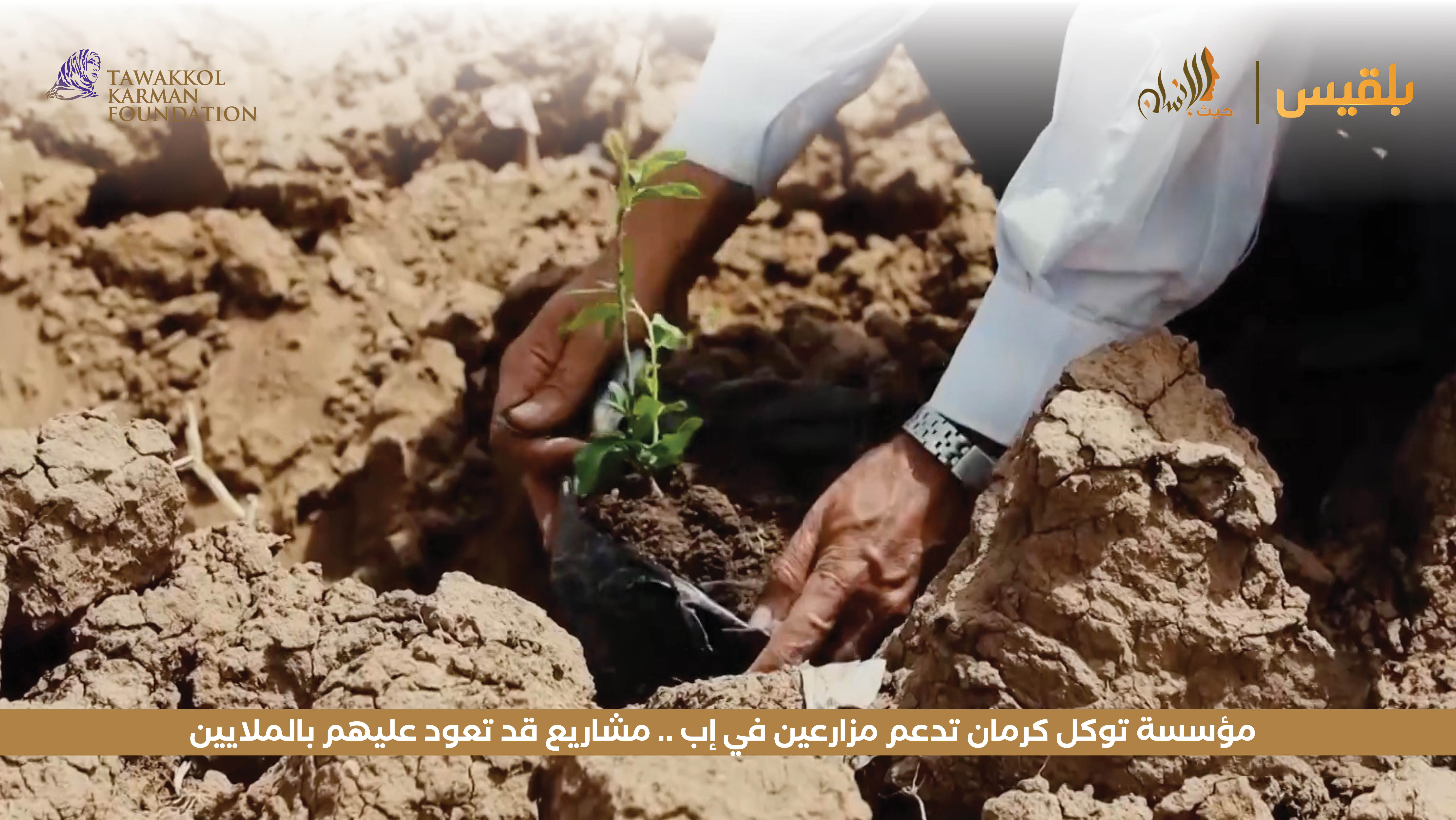 مؤسسة توكل كرمان تدعم مزارعين في إب .. مشاريع قد تعود عليهم بالملايين 